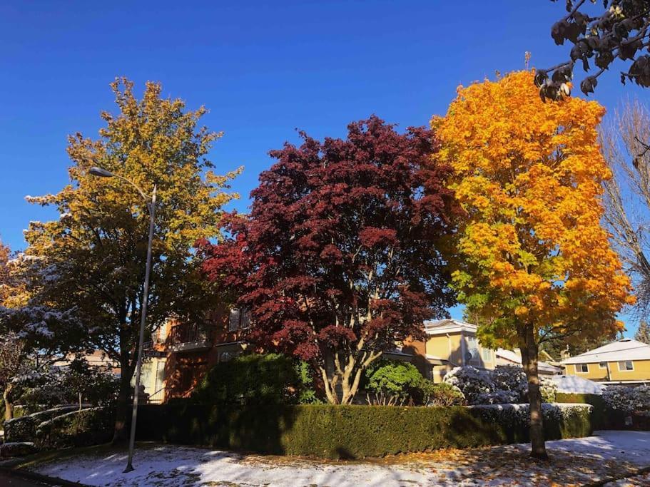 Super Cosy 8Bed & 6Bath In Vancouver Heart Near To Airport And Downtown Exterior foto